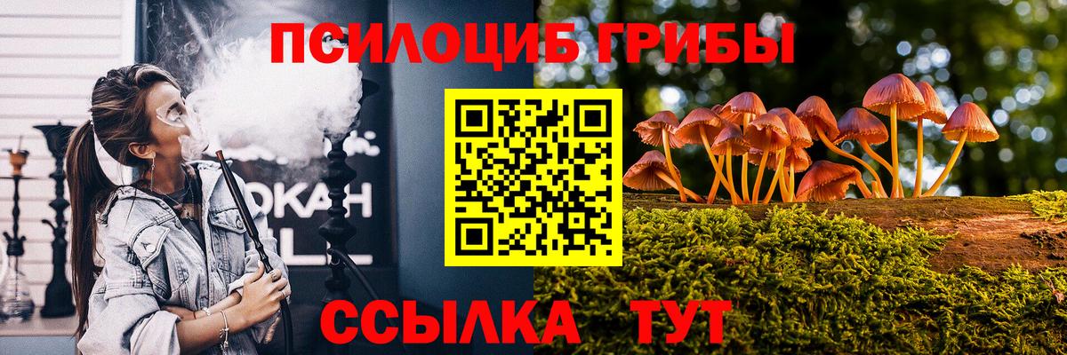 Псилоцибиновые грибы прущие грибы Сарапул
