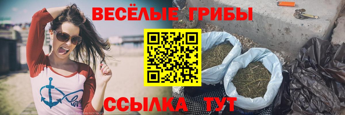 Псилоцибиновые грибы GOLDEN TEACHER  Вход с VPN  Галлюциногенные грибы мицелий  Сарапул 
