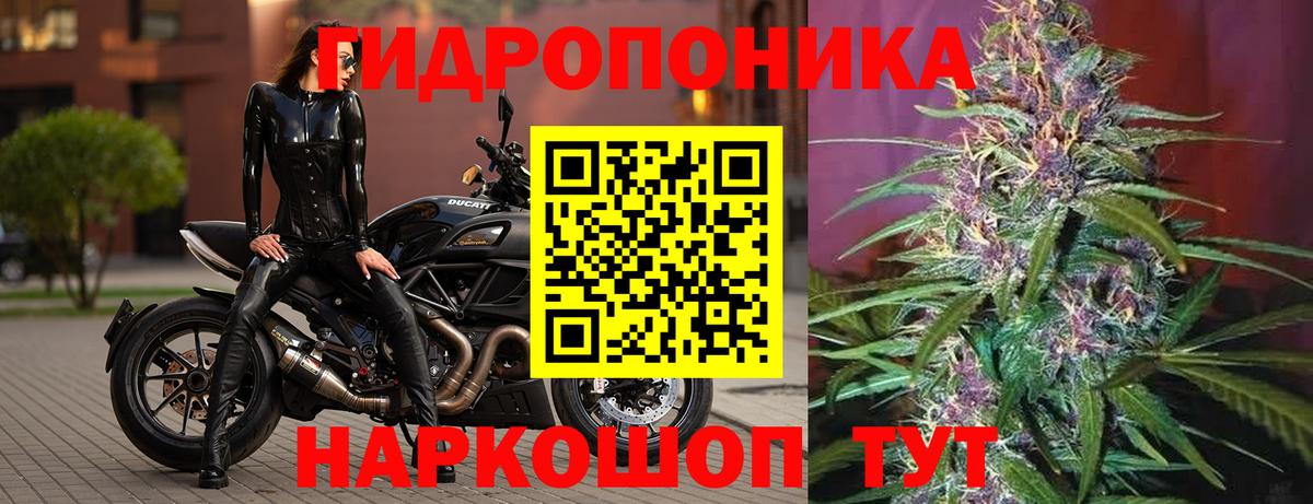 МАРИХУАНА марихуана  МАРИХУАНА тримм  Сарапул  МАРИХУАНА индика  Бошки марихуана VHQ  Вход с VPN 